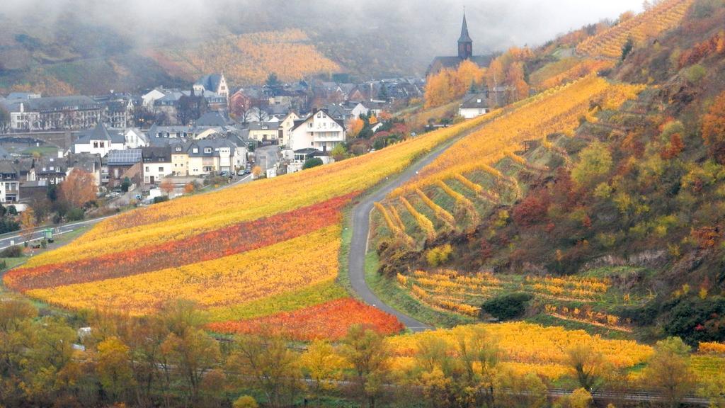 Apartment Happy Mosel Cochem Luaran gambar
